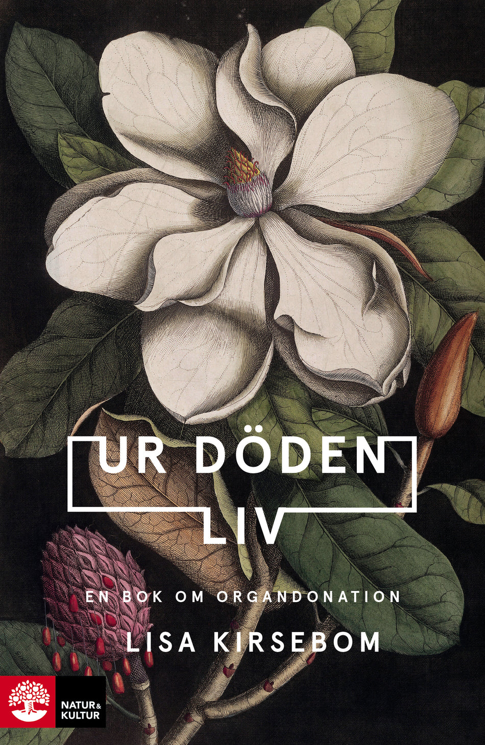 Valokuva kirjasta Lisa Kirsebom Ur döden liv : en bok om organdonation, kuuluu tuoteryhmään Ruots muu tieto.