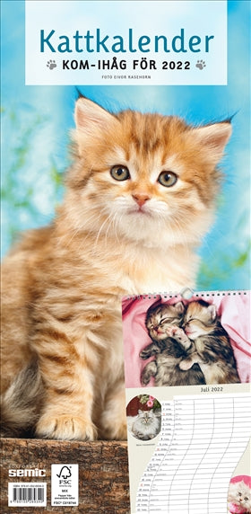 Valokuva kirjasta Bokförlaget Semic Kattkalender 2022, kuuluu tuoteryhmään Ruots harrasteet taide.