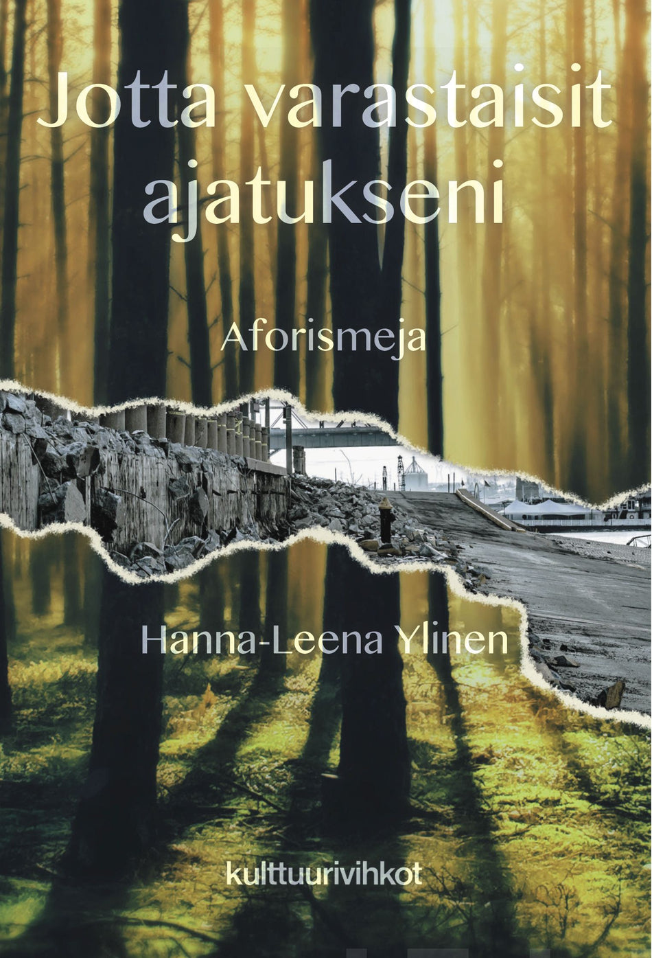 Valokuva kirjasta Hanna-Leena Ylinen Jotta varastaisit ajatukseni, kuuluu tuoteryhmään Aforismit.