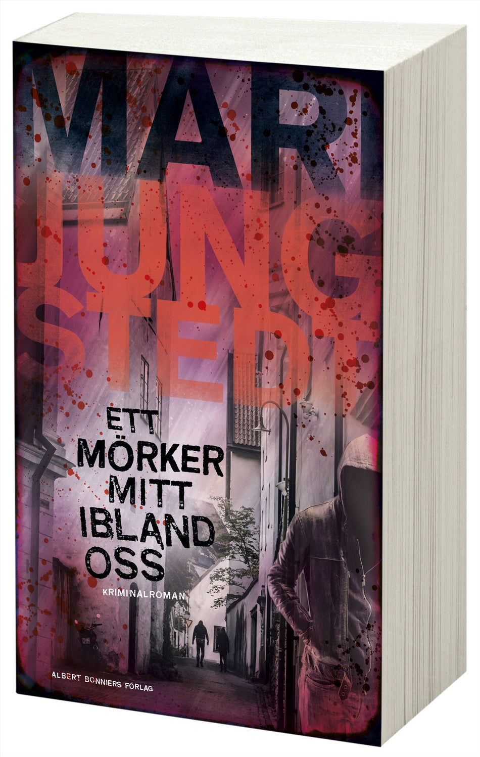 Valokuva kirjasta Mari Jungstedt Ett mörker mitt ibland oss, kuuluu tuoteryhmään Ruots kaunokirjat.