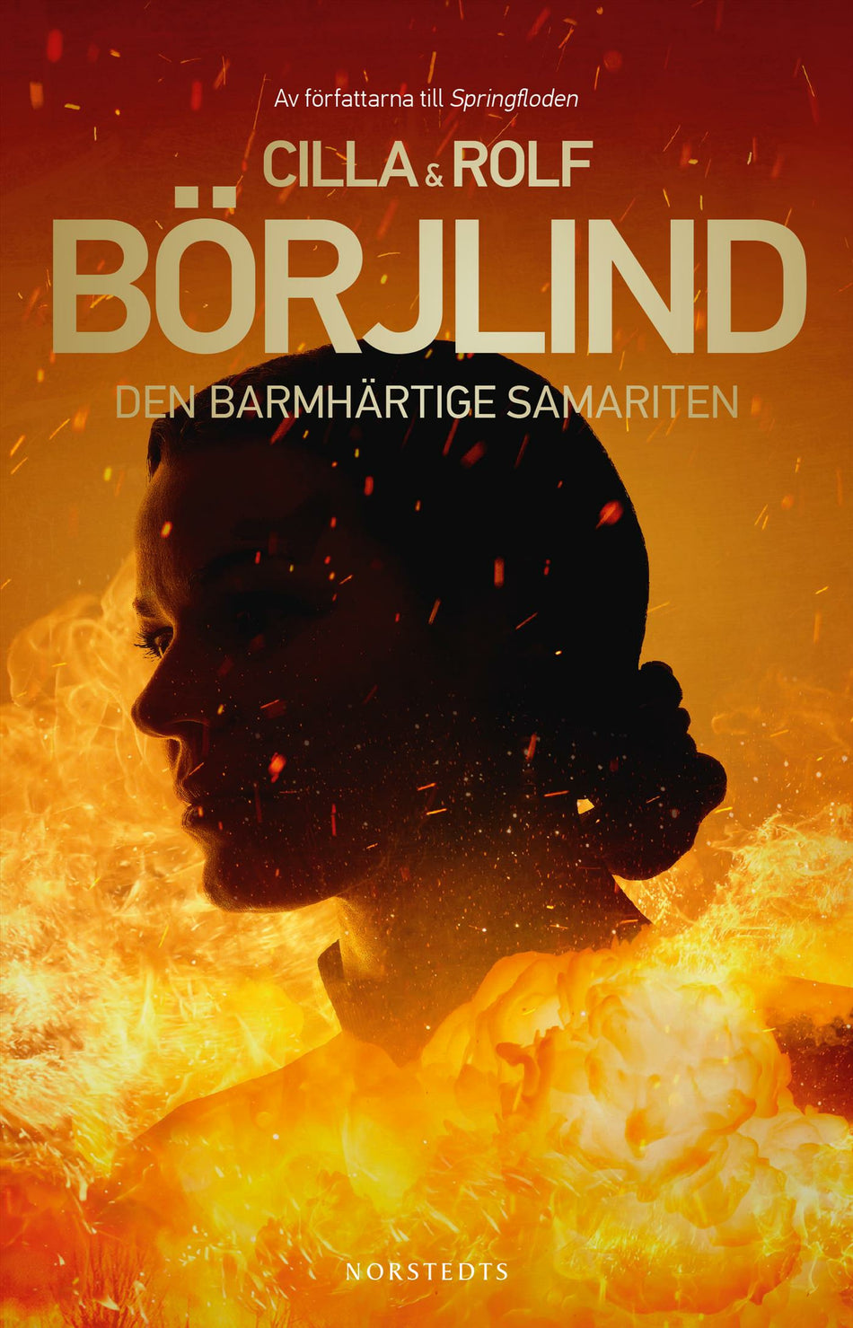 Valokuva kirjasta Cilla Börjlind / Rolf Börjlind Den barmhärtige samariten, kuuluu tuoteryhmään Ruots kaunokirjat.