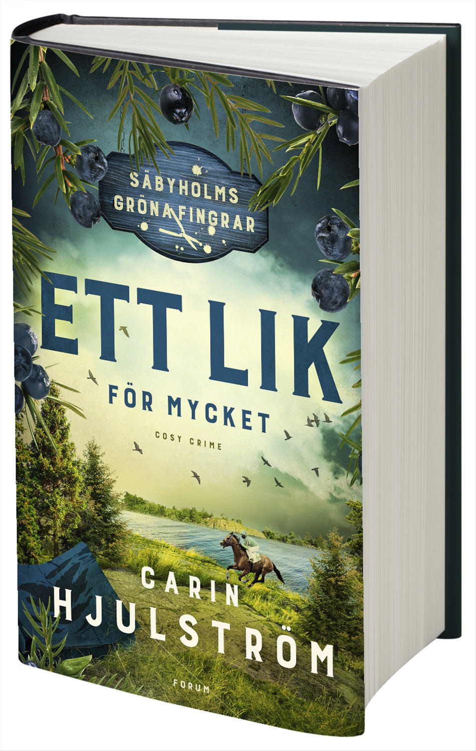 Valokuva kirjasta Carin Hjulström Ett lik för mycket, kuuluu tuoteryhmään Ruots kaunokirjat.