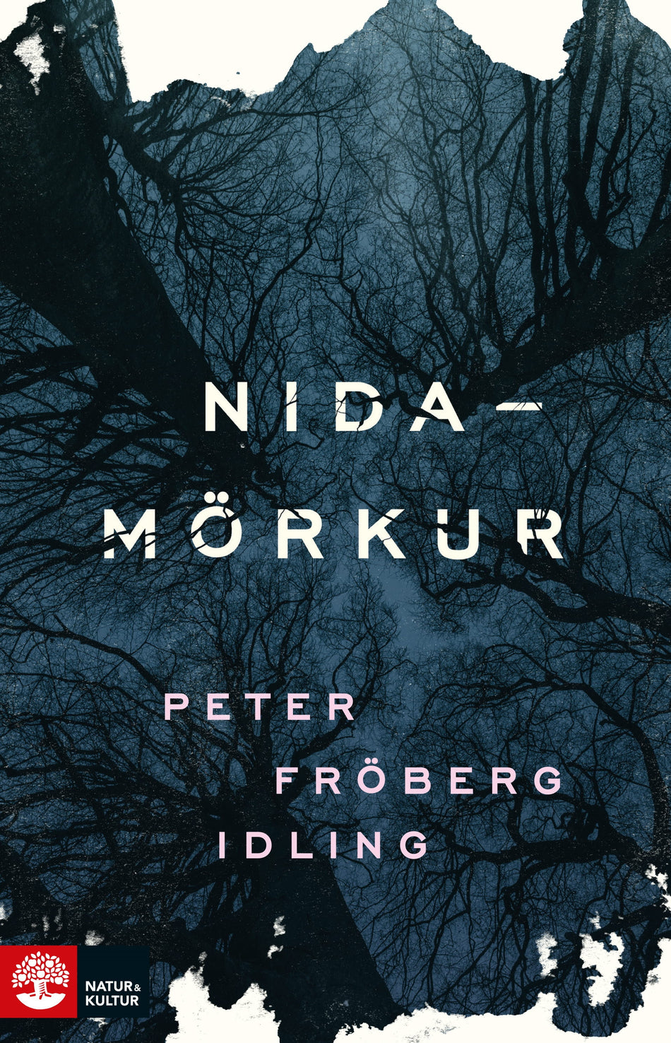 Valokuva kirjasta Peter Fröberg Idling Nidamörkur, kuuluu tuoteryhmään Ruots kaunokirjat.