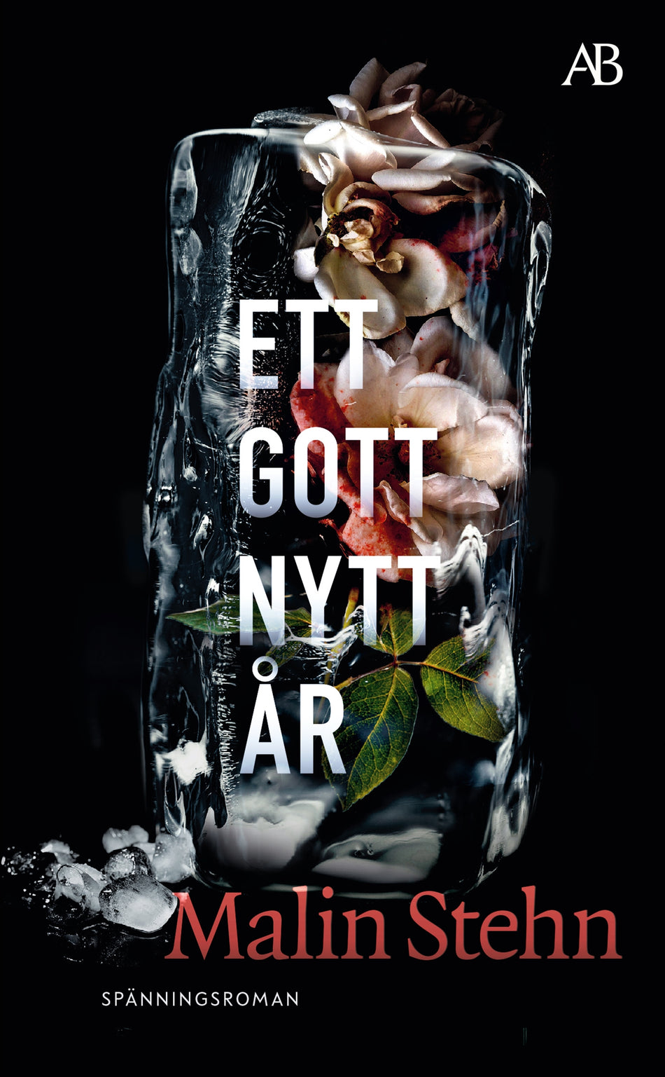 Valokuva kirjasta Malin Stehn Ett gott nytt år, kuuluu tuoteryhmään Ruots kaunokirjat.