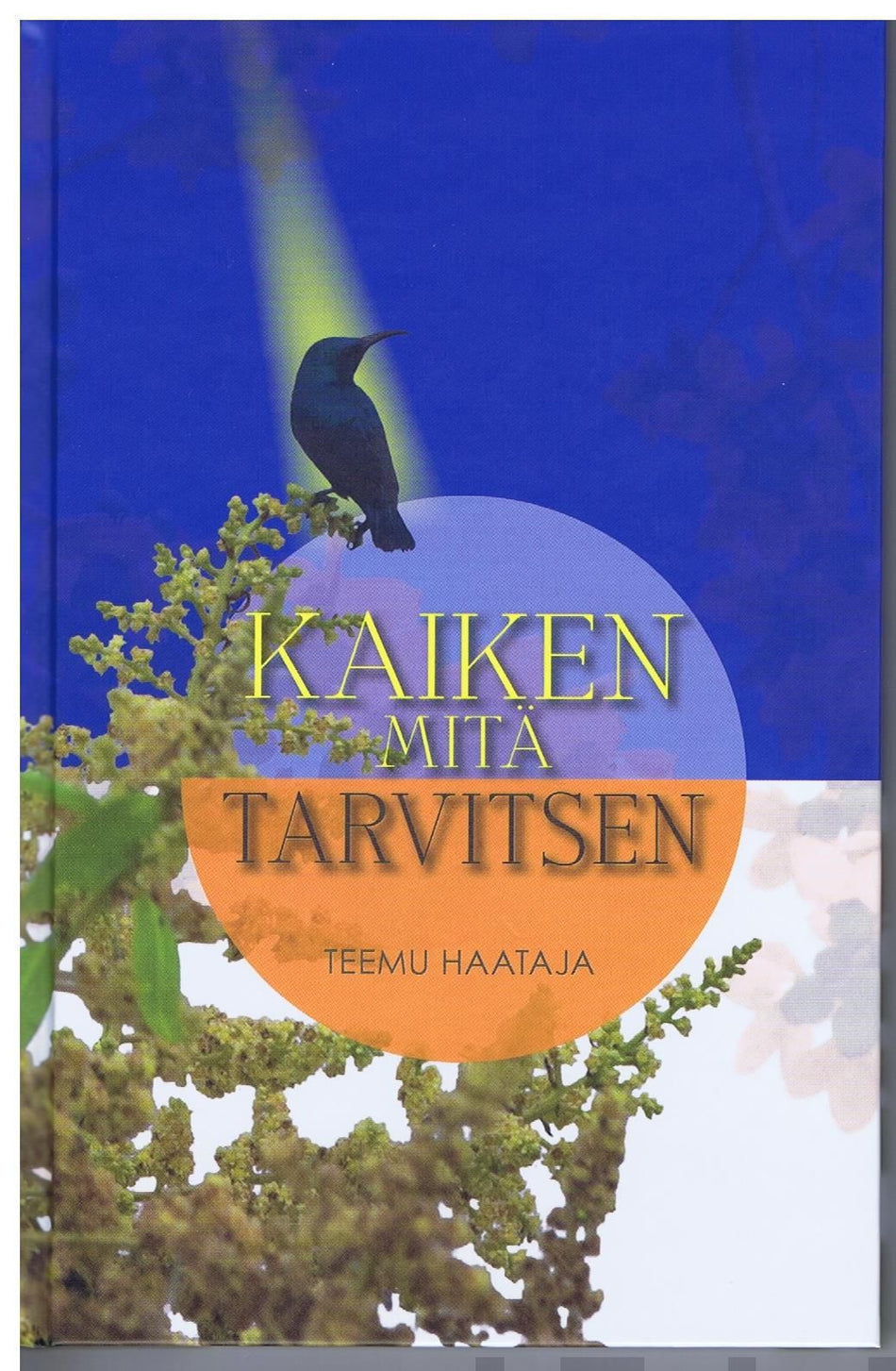 Valokuva kirjasta Teemu Haataja Kaiken mitä tarvitsen, kuuluu tuoteryhmään Uskonto raamatut.
