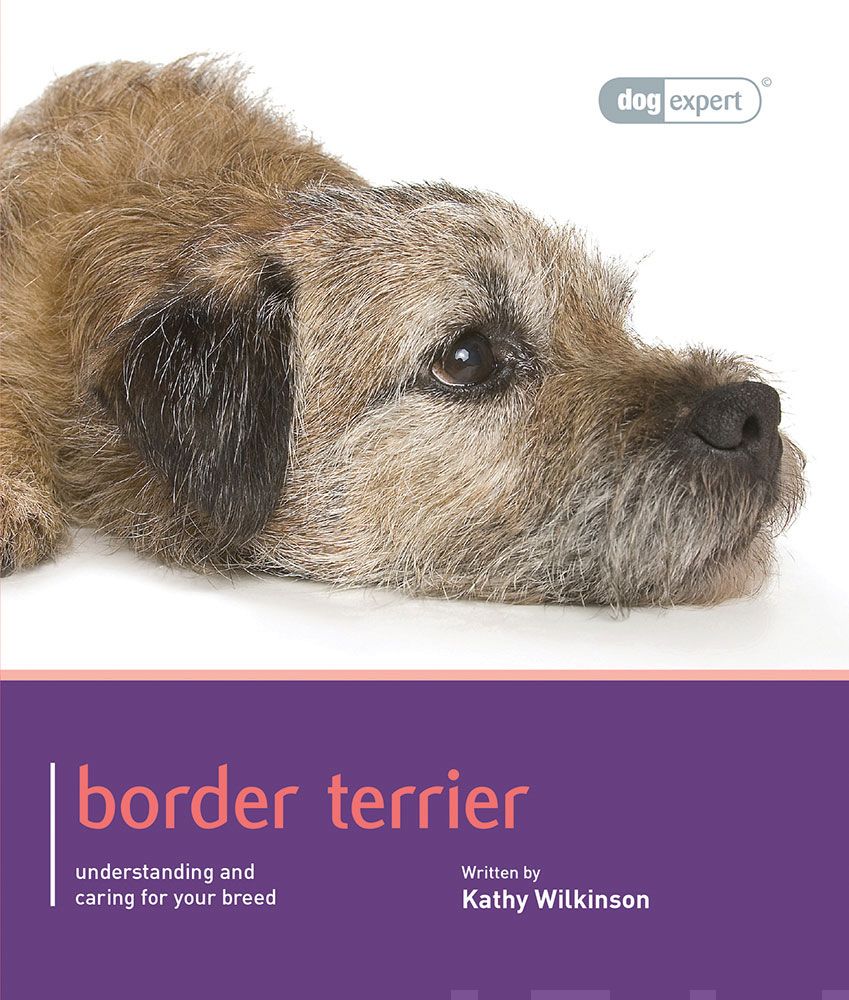 Valokuva kirjasta Kathy Wilkinson Border Terrier, kuuluu tuoteryhmään Luonto.