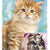 Tuotteen Kattkalender 2022 pikkukuva 2