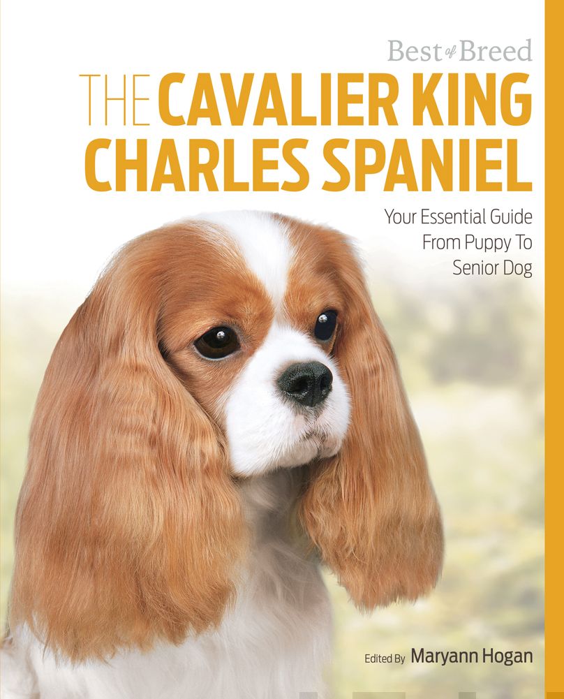 Valokuva kirjasta Maryann Hogan Cavalier King Charles Spaniel, The, kuuluu tuoteryhmään Luonto.