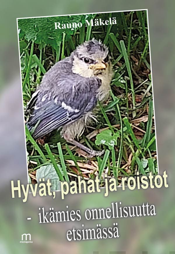Valokuva kirjasta Mäkelä Rauno Hyvät, pahat ja roistot, kuuluu tuoteryhmään Muut kaunokirjat.