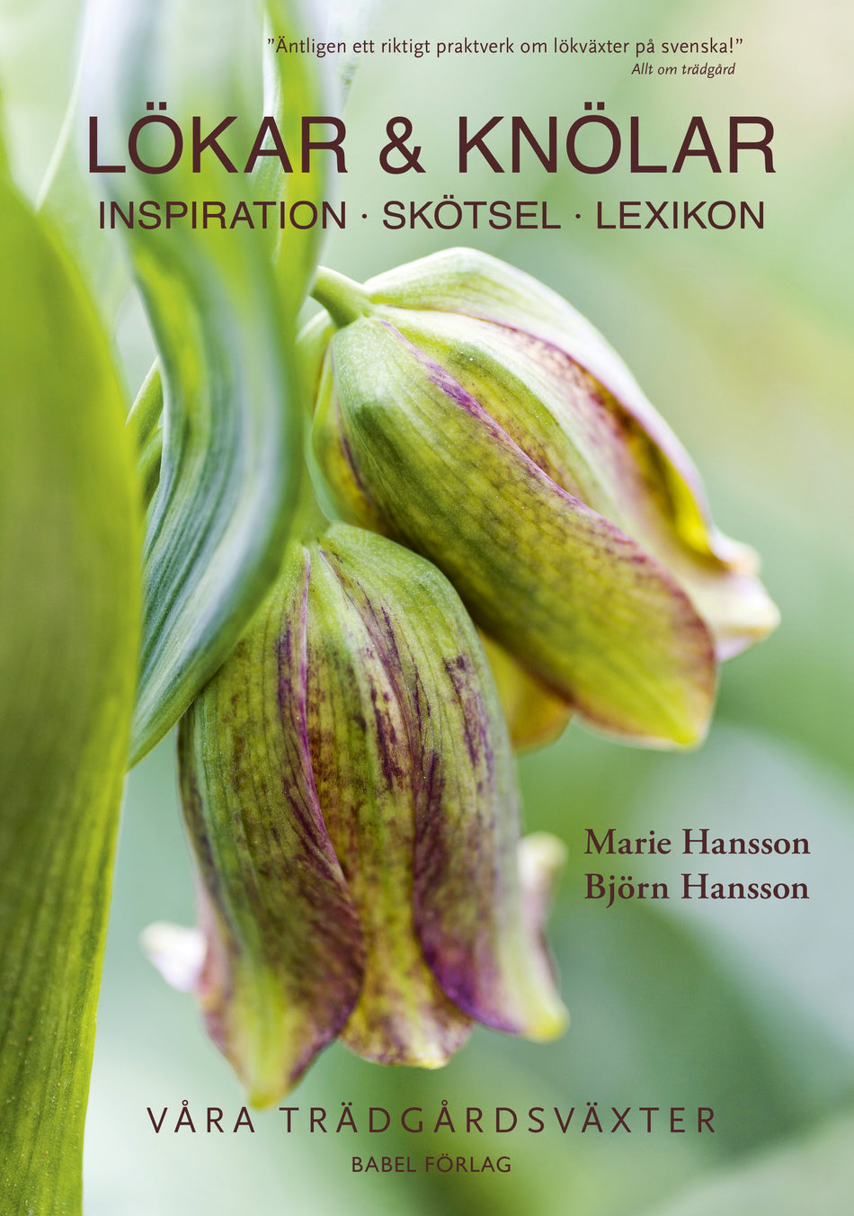 Valokuva kirjasta Marie Hansson / Björn Hansson Lökar &amp; Knölar : inspiration - skötsel - lexikon, kuuluu tuoteryhmään Ruots harrasteet taide.