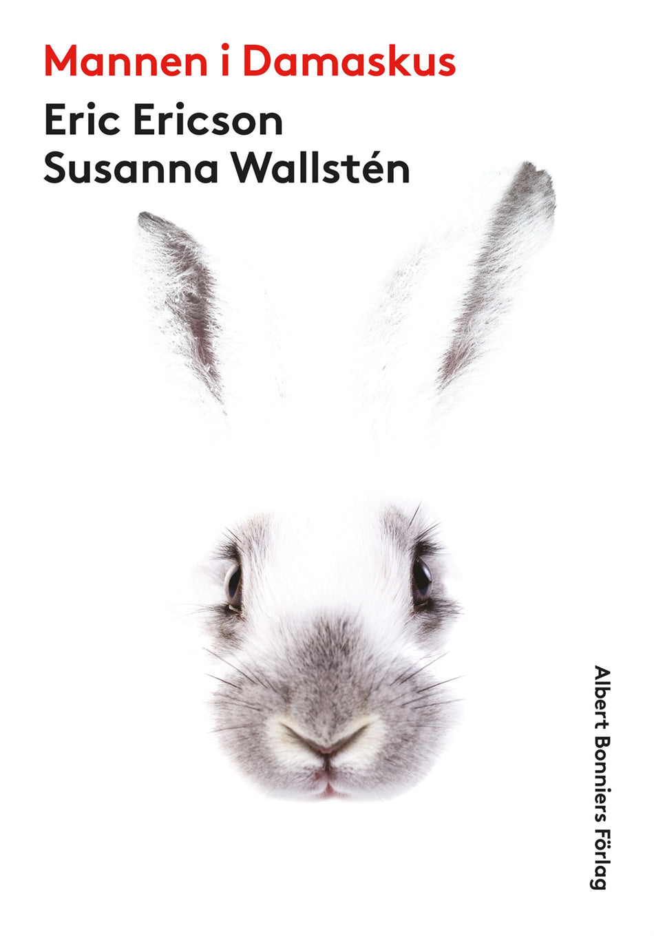 Valokuva kirjasta Eric Ericson / Susanna Wallstén Mannen i Damaskus, kuuluu tuoteryhmään Ruots muu tieto.