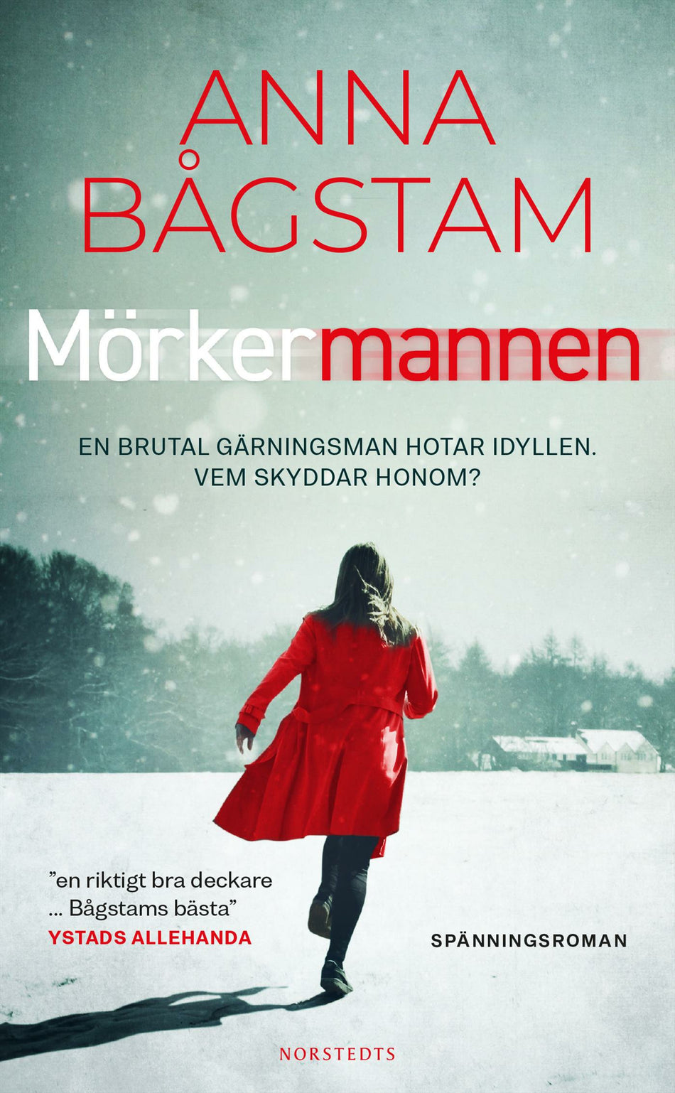 Valokuva kirjasta Anna Bågstam Mörkermannen, kuuluu tuoteryhmään Ruots kaunokirjat.