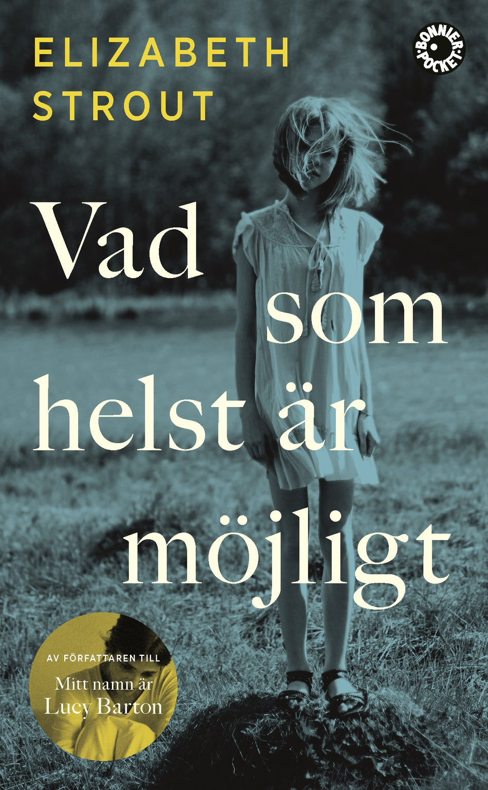 Valokuva kirjasta Elizabeth Strout Vad som helst är möjligt, kuuluu tuoteryhmään Ruots kaunokirjat.