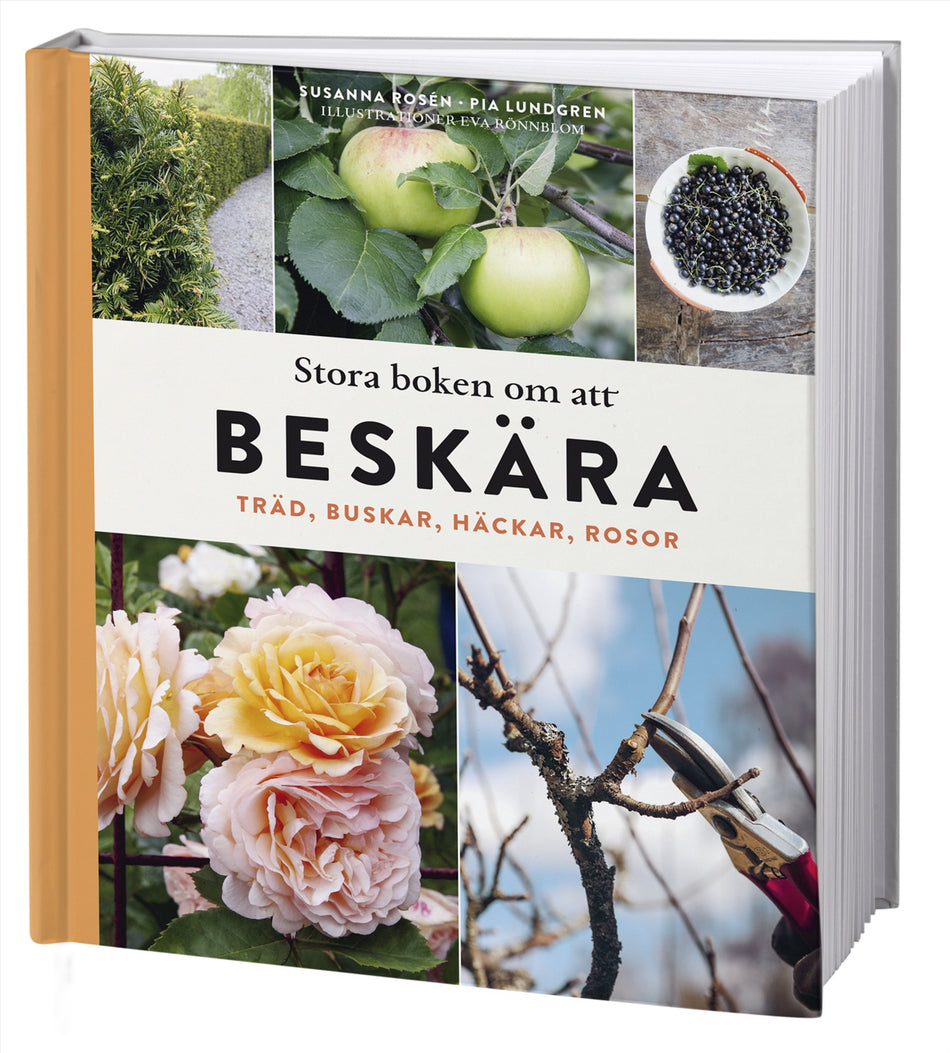 Valokuva kirjasta Susanna Rosén / Pia Lundgren Stora boken om att beskära : träd, buskar, häckar och rosor, kuuluu tuoteryhmään Ruots harrasteet taide.