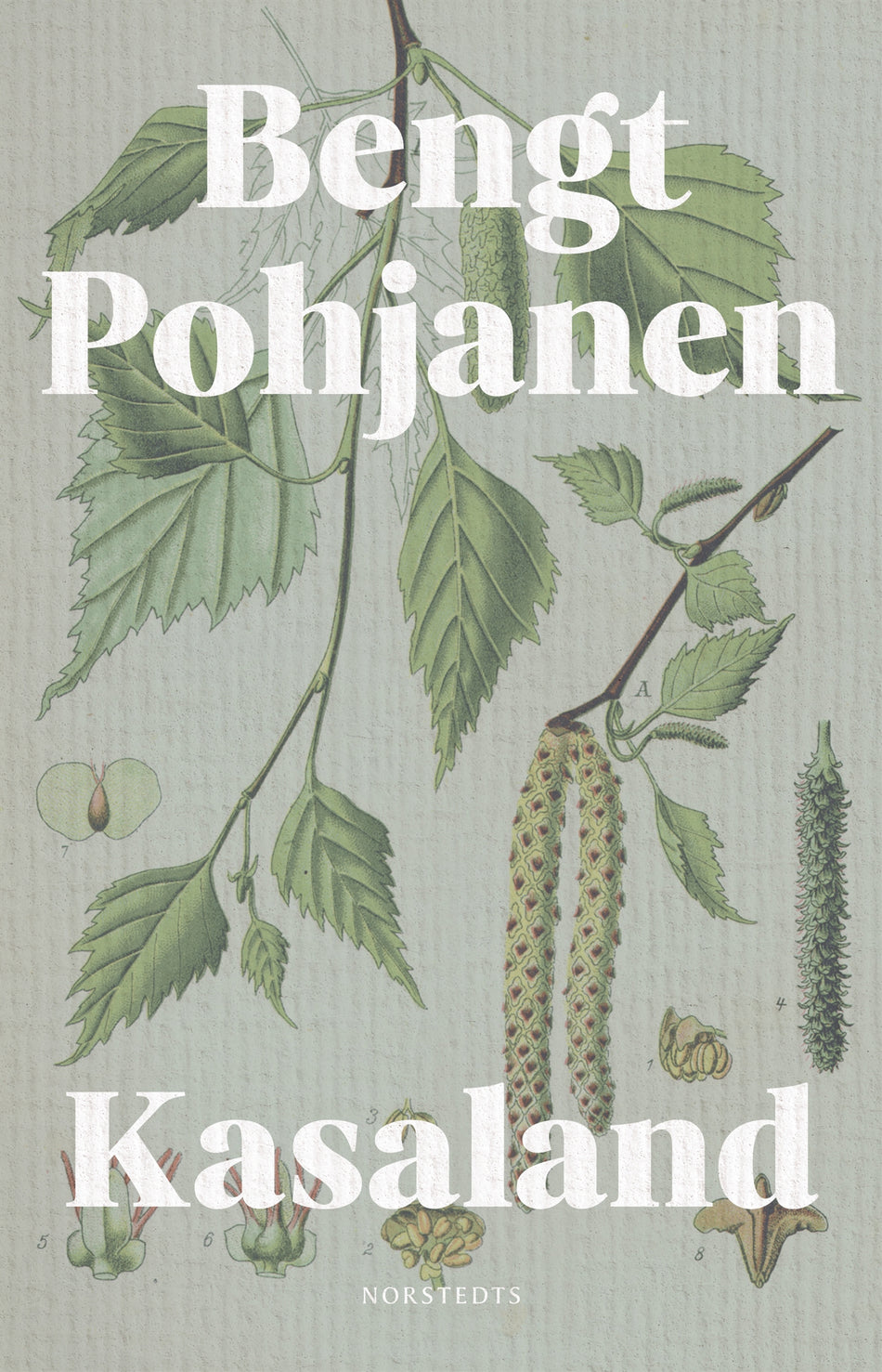 Valokuva kirjasta Bengt Pohjanen Kasaland, kuuluu tuoteryhmään Ruots kaunokirjat.