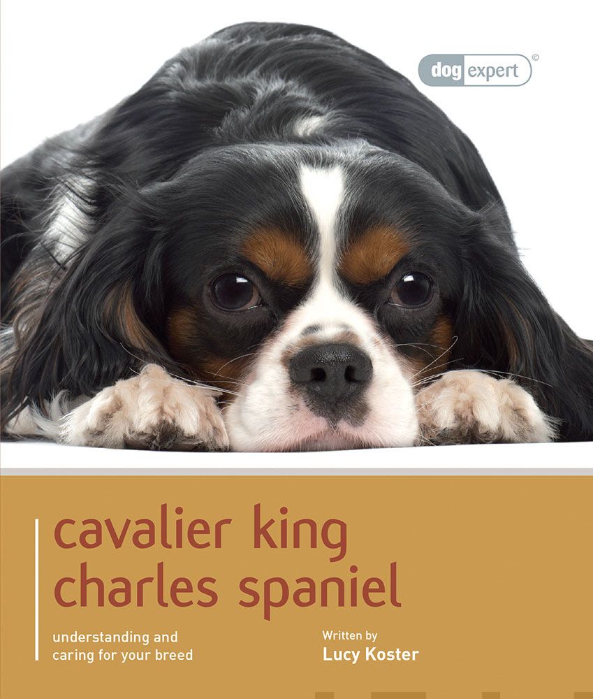 Valokuva kirjasta Lucy Koster Cavalier King Charles Spaniel, kuuluu tuoteryhmään Luonto.