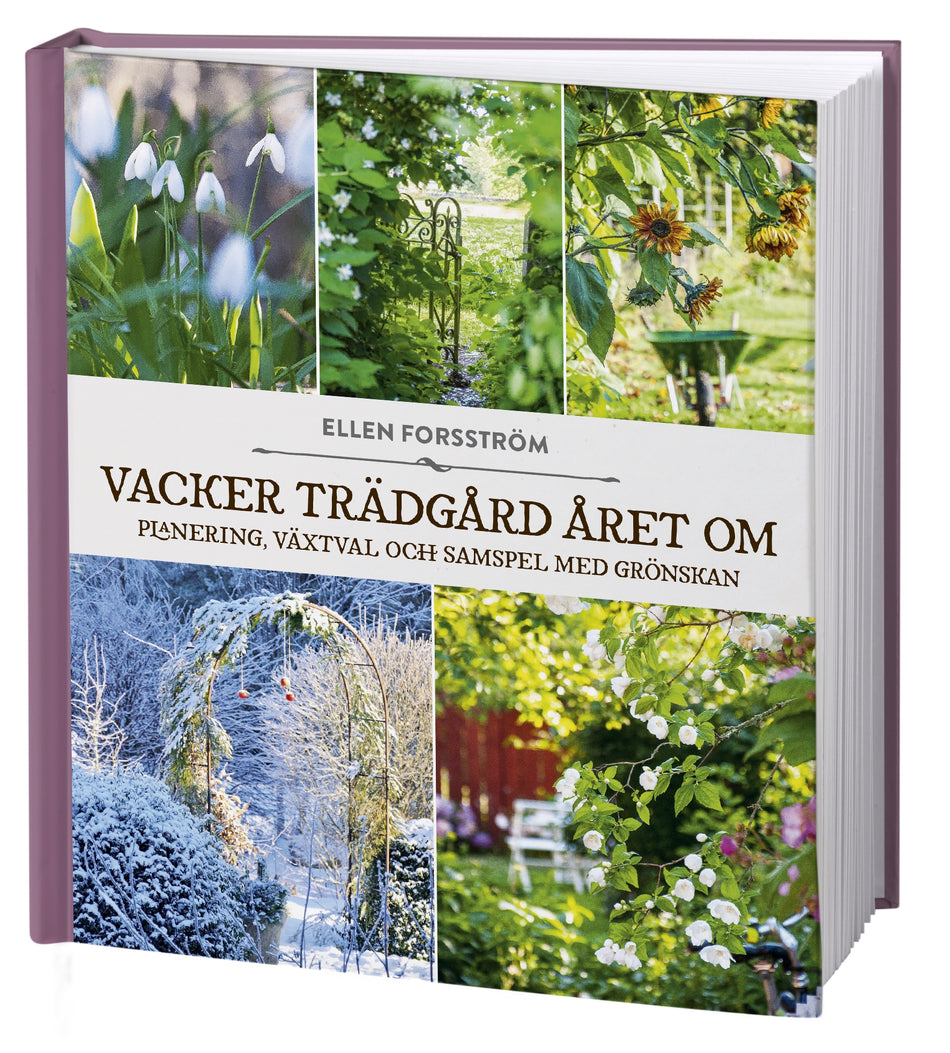 Valokuva kirjasta Ellen Forsström Vacker trädgård året om : planering, växtval och samspel med grönskan, kuuluu tuoteryhmään Ruots harrasteet taide.