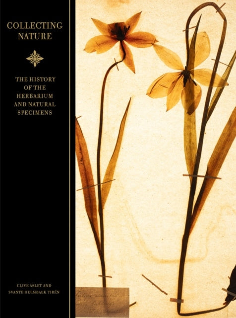 Valokuva kirjasta Clive Aslet / Svante Helmbaek Tirén Collecting nature : a history of the herbarium and natural specimens, kuuluu tuoteryhmään Ruots muu tieto.
