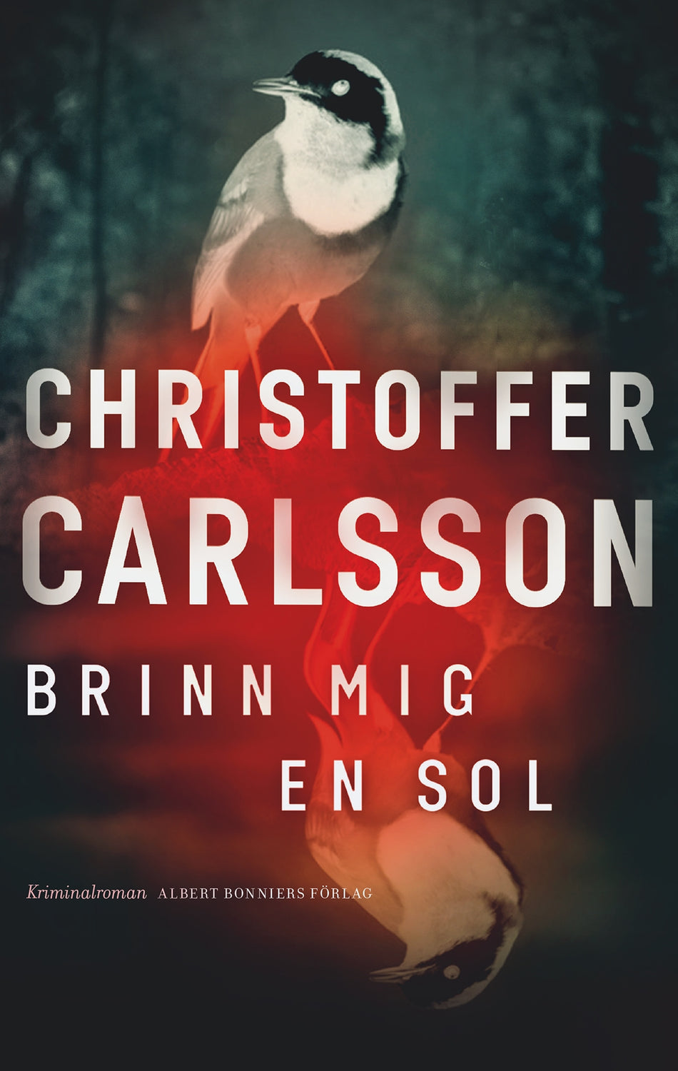 Valokuva kirjasta Christoffer Carlsson Brinn mig en sol, kuuluu tuoteryhmään Ruots kaunokirjat.