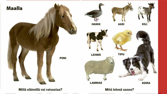 Pieni eläinkirja