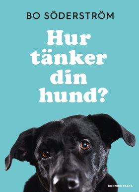Valokuva kirjasta Bo Söderström Hur tänker din hund?, kuuluu tuoteryhmään Ruots harrasteet taide.