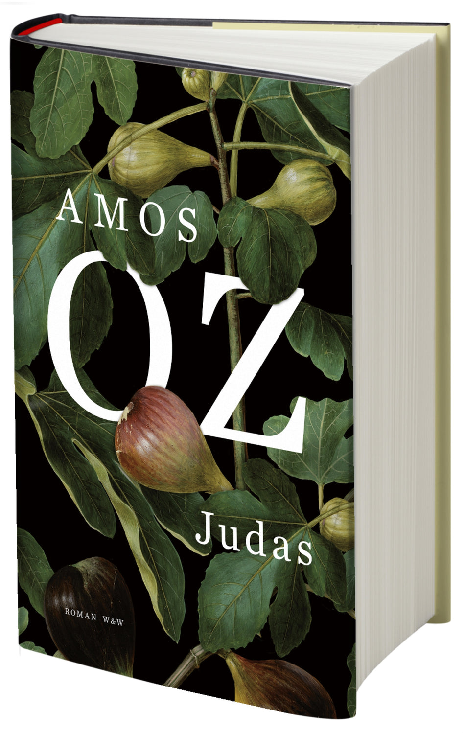 Valokuva kirjasta Amos Oz Judas, kuuluu tuoteryhmään Ruots kaunokirjat.