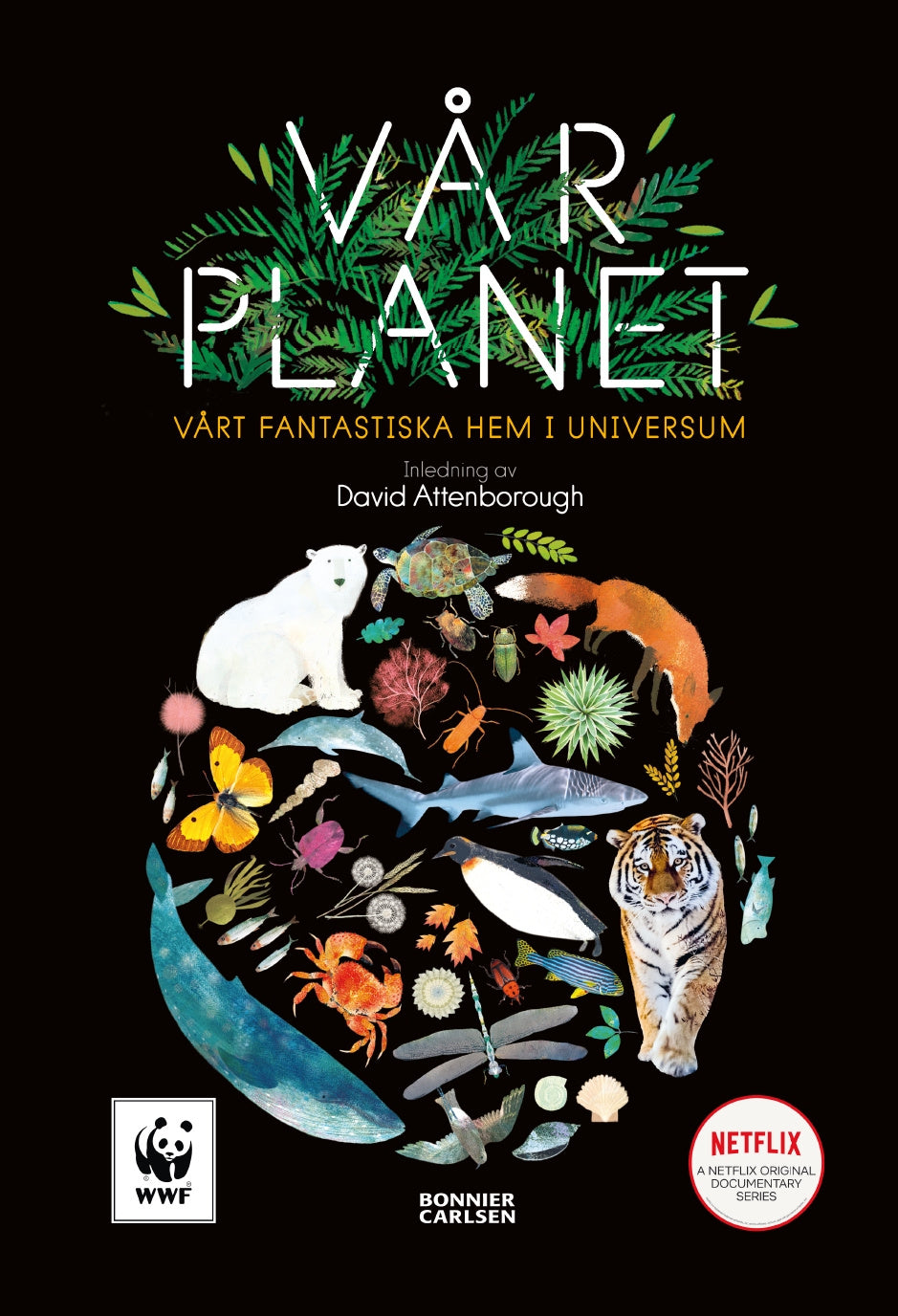 Valokuva kirjasta Matt Whyman Vår planet : vårt fantastiska hem i universum, kuuluu tuoteryhmään Ruots lapset nuoret ja sarjakuvat.