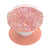 Tuotteen Älypuhelimen pidike Popsocket PopGrip Tidepool Peachy Pink pikkukuva 1