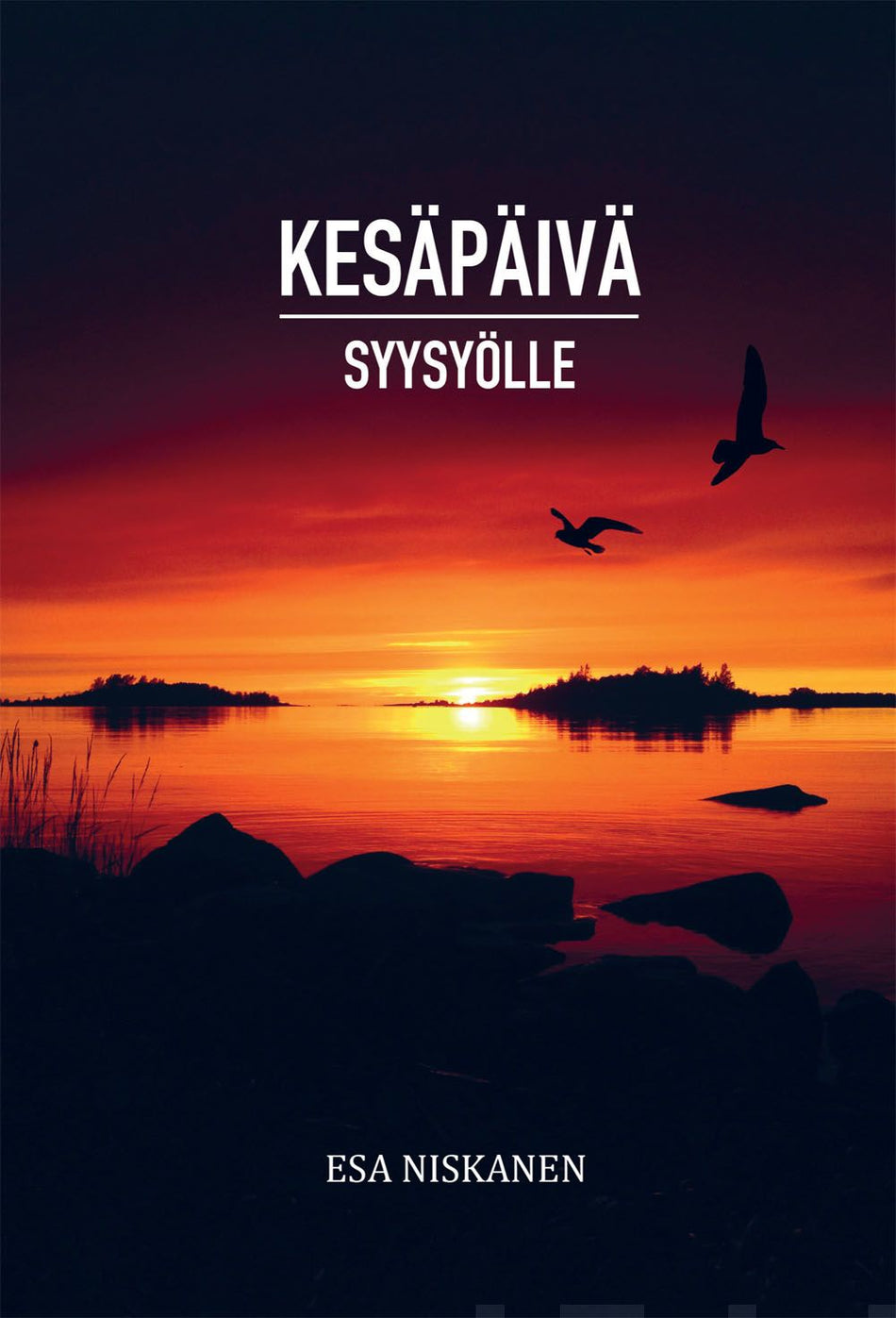 Valokuva kirjasta Esa Niskanen Kesäpäivä syysyölle, kuuluu tuoteryhmään Runot.