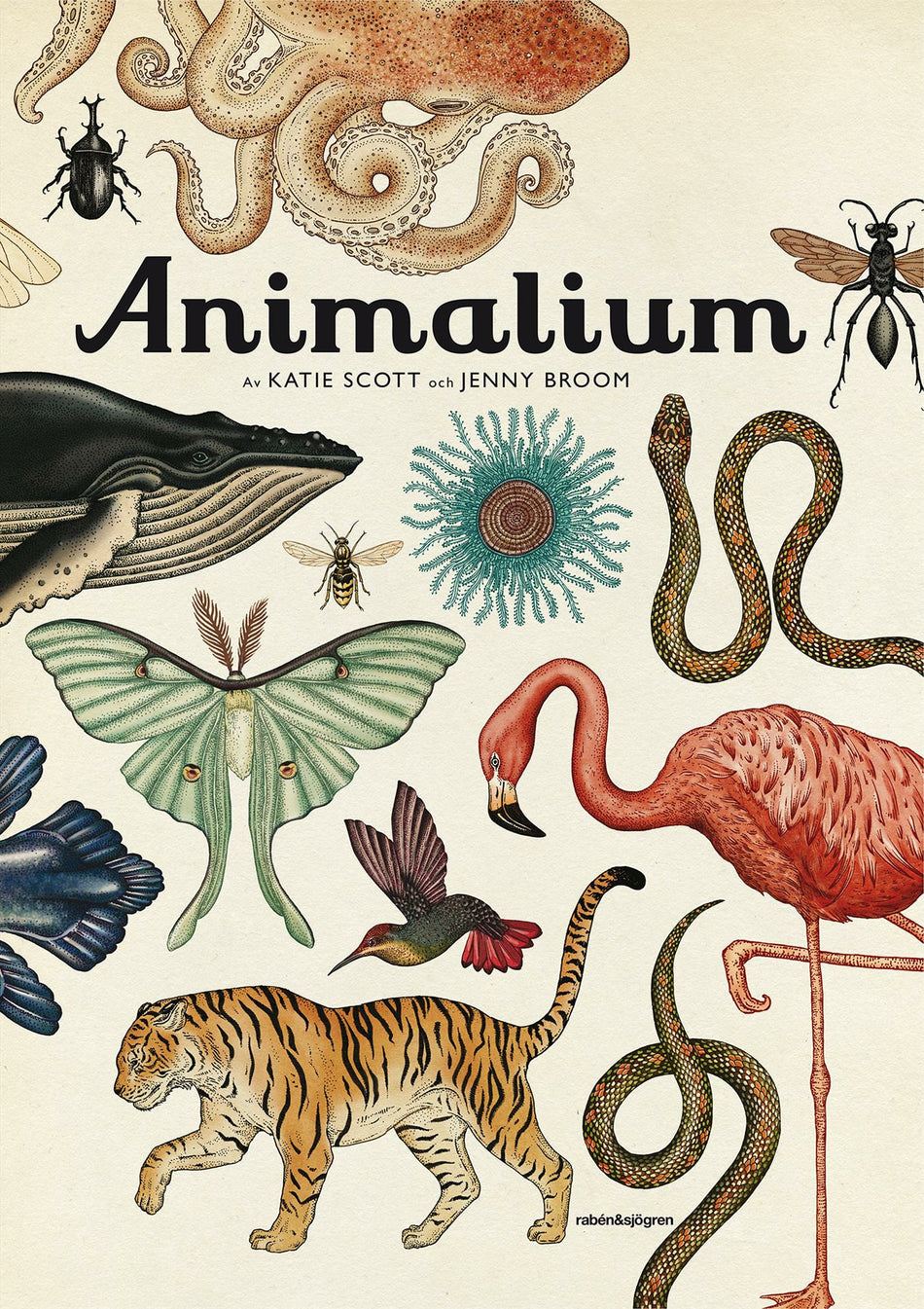 Valokuva kirjasta Jenny Broom Animalium, kuuluu tuoteryhmään Ruots lapset nuoret ja sarjakuvat.