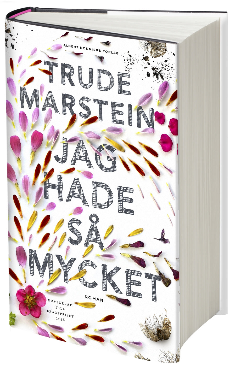 Valokuva kirjasta Trude Marstein Jag hade så mycket, kuuluu tuoteryhmään Ruots kaunokirjat.