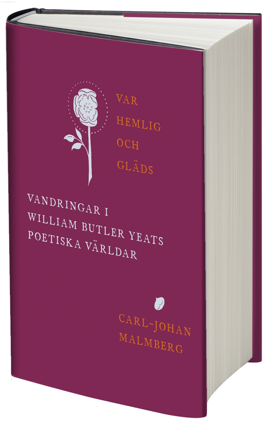 Valokuva kirjasta Carl-Johan Malmberg Var hemlig och gläds : vandringar i William Butler Yeats poetiska världar, kuuluu tuoteryhmään Ruots muu tieto.