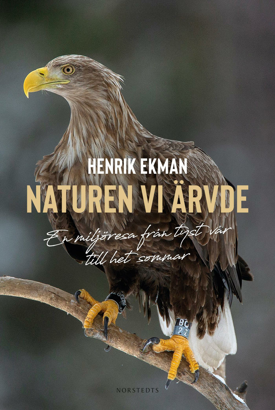 Valokuva kirjasta Henrik Ekman Naturen vi ärvde : en miljöresa från tyst vår till het sommar, kuuluu tuoteryhmään Ruots muu tieto.