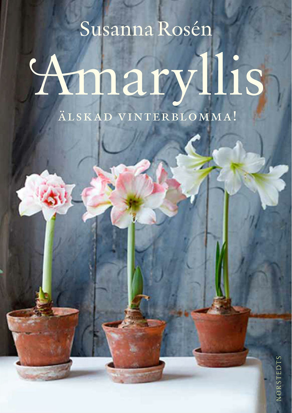 Valokuva kirjasta Susanna Rosén Amaryllis : älskad vinterblomma!, kuuluu tuoteryhmään Ruots harrasteet taide.