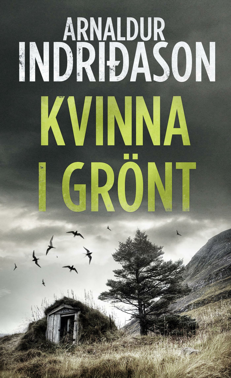 Valokuva kirjasta Arnaldur Indridason Kvinna i grönt, kuuluu tuoteryhmään Ruots kaunokirjat.