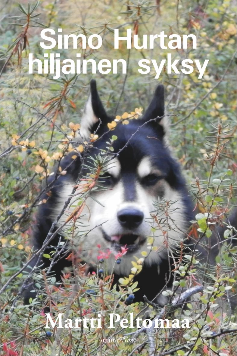 Valokuva kirjasta Martti Peltomaa Simo Hurtan hiljainen syksy, kuuluu tuoteryhmään Muut kaunokirjat.