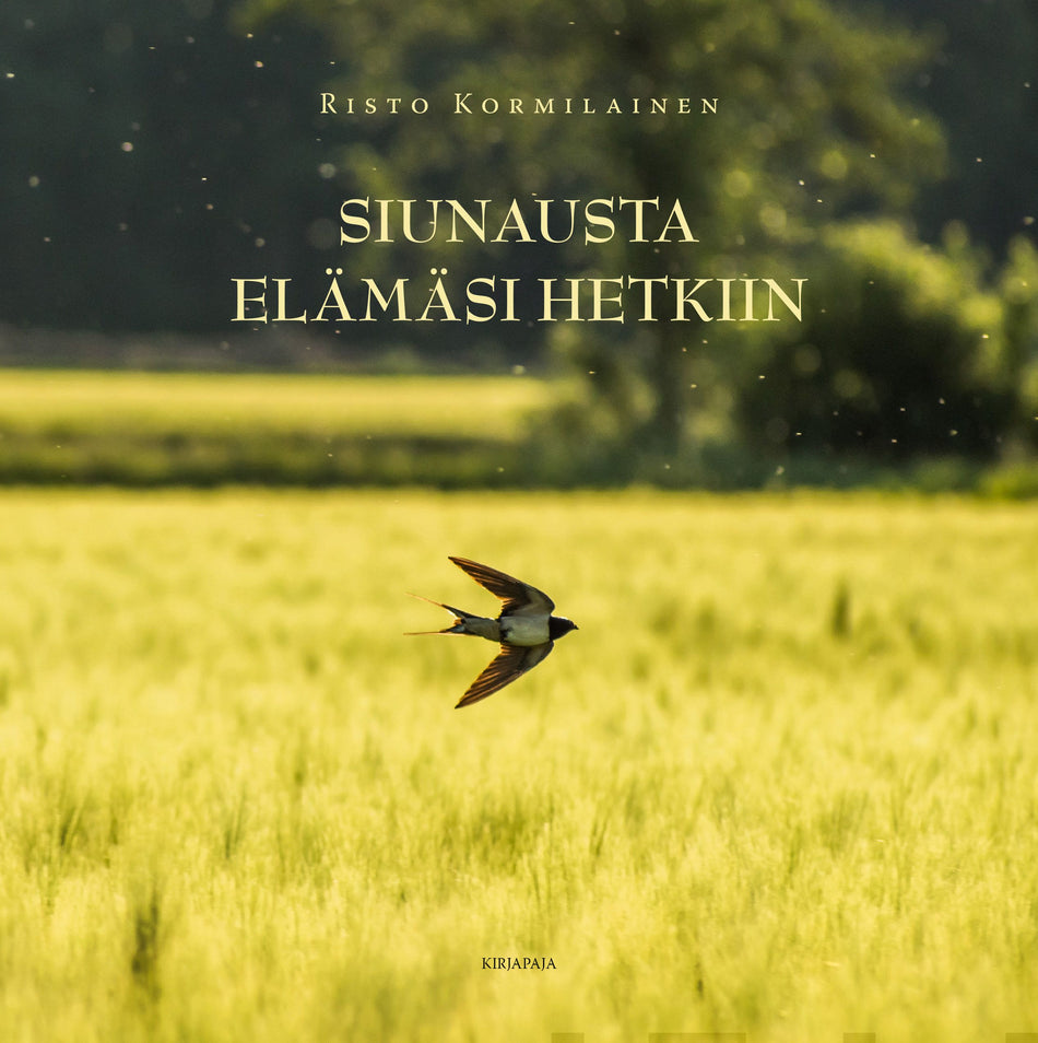 Valokuva kirjasta Risto Kormilainen Siunausta elämäsi hetkiin, kuuluu tuoteryhmään Uskonto raamatut.