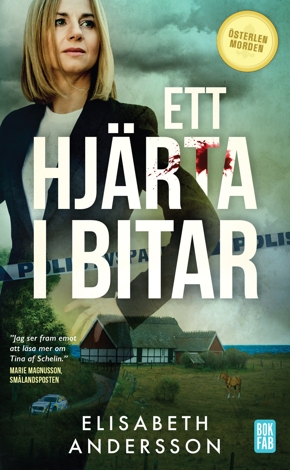 Valokuva kirjasta Elisabeth Andersson Ett hjärta i bitar, kuuluu tuoteryhmään Ruots kaunokirjat.