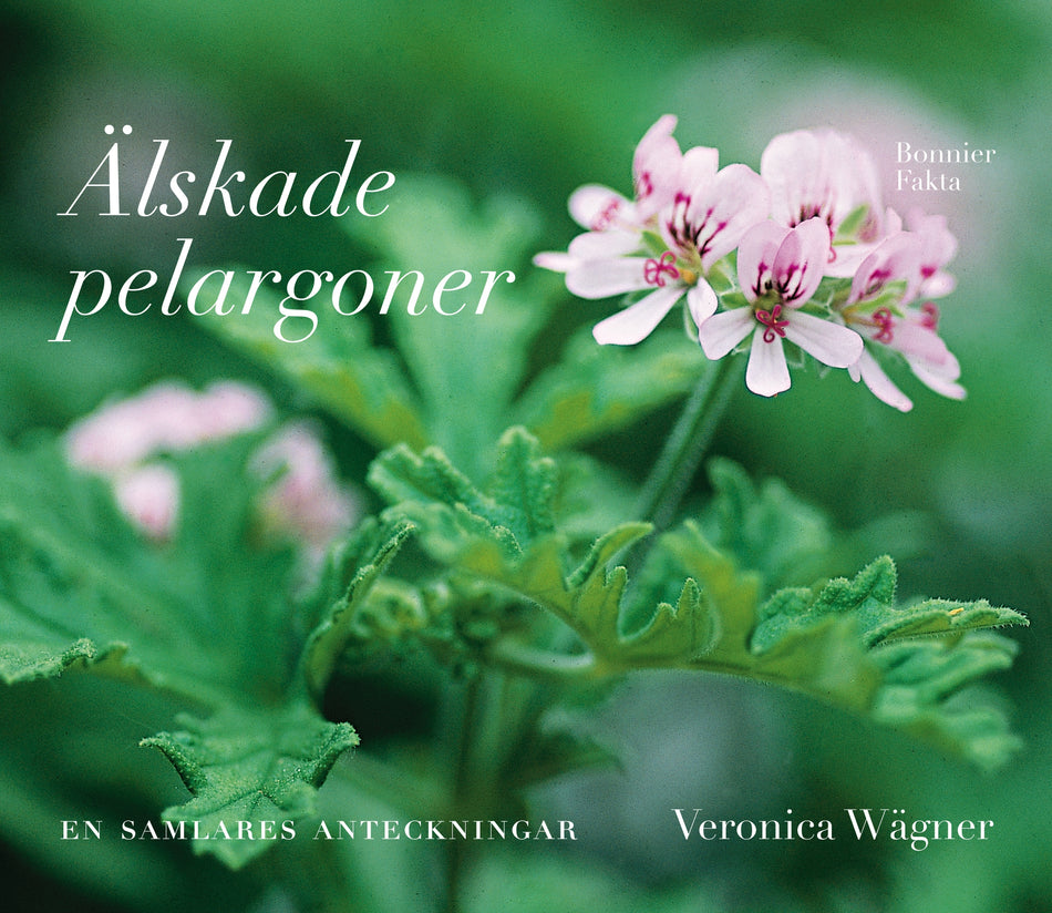 Valokuva kirjasta Veronica Wägner Älskade pelargoner, kuuluu tuoteryhmään Ruots harrasteet taide.