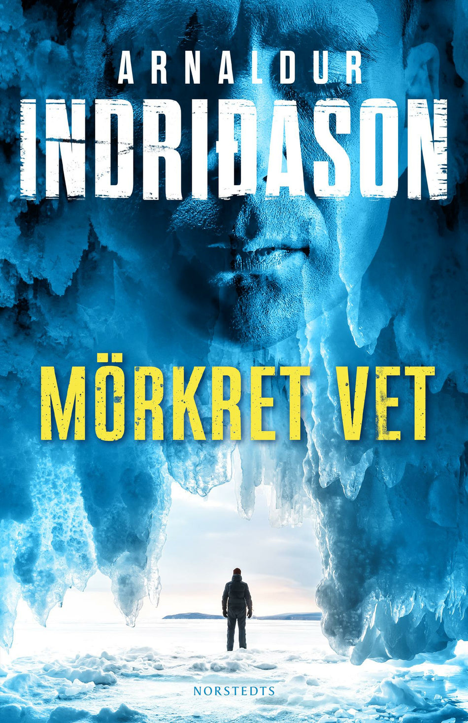 Valokuva kirjasta Arnaldur Indridason Mörkret vet, kuuluu tuoteryhmään Ruots kaunokirjat.
