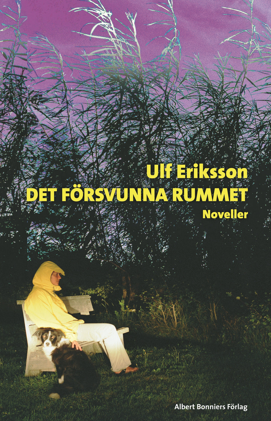 Valokuva kirjasta Ulf Eriksson Det försvunna rummet : noveller, kuuluu tuoteryhmään Ruots kaunokirjat.