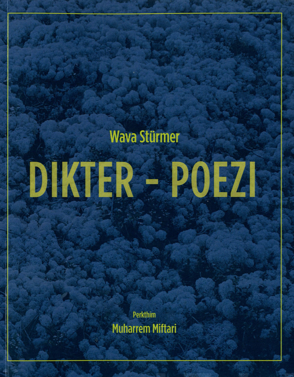 Valokuva kirjasta Wava Stürmer Dikter - Poezi, kuuluu tuoteryhmään Runot.