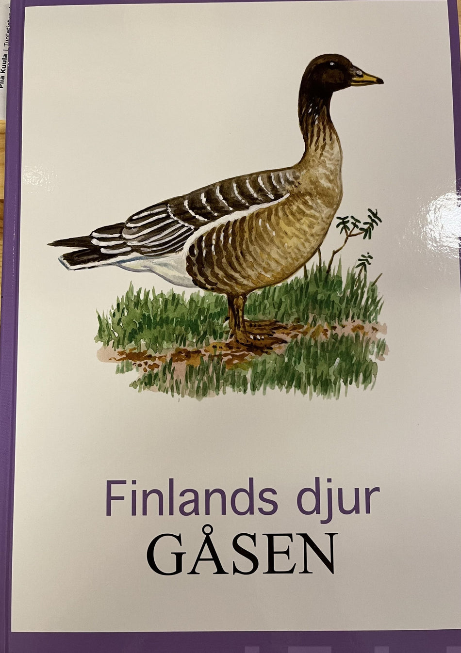 Valokuva kirjasta  Gåsen, kuuluu tuoteryhmään Luonto.