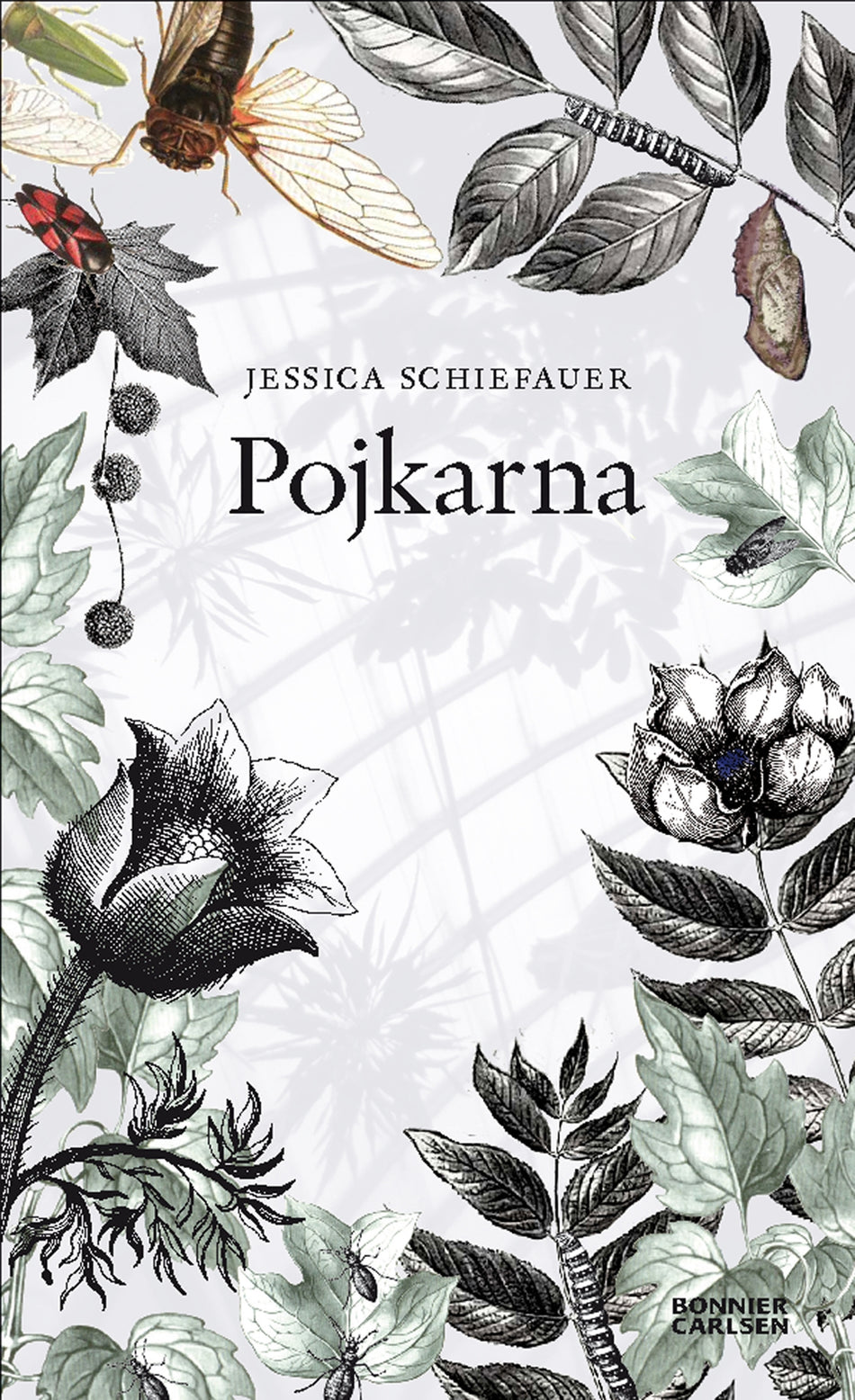 Valokuva kirjasta Jessica Schiefauer Pojkarna, kuuluu tuoteryhmään Ruots lapset nuoret ja sarjakuvat.