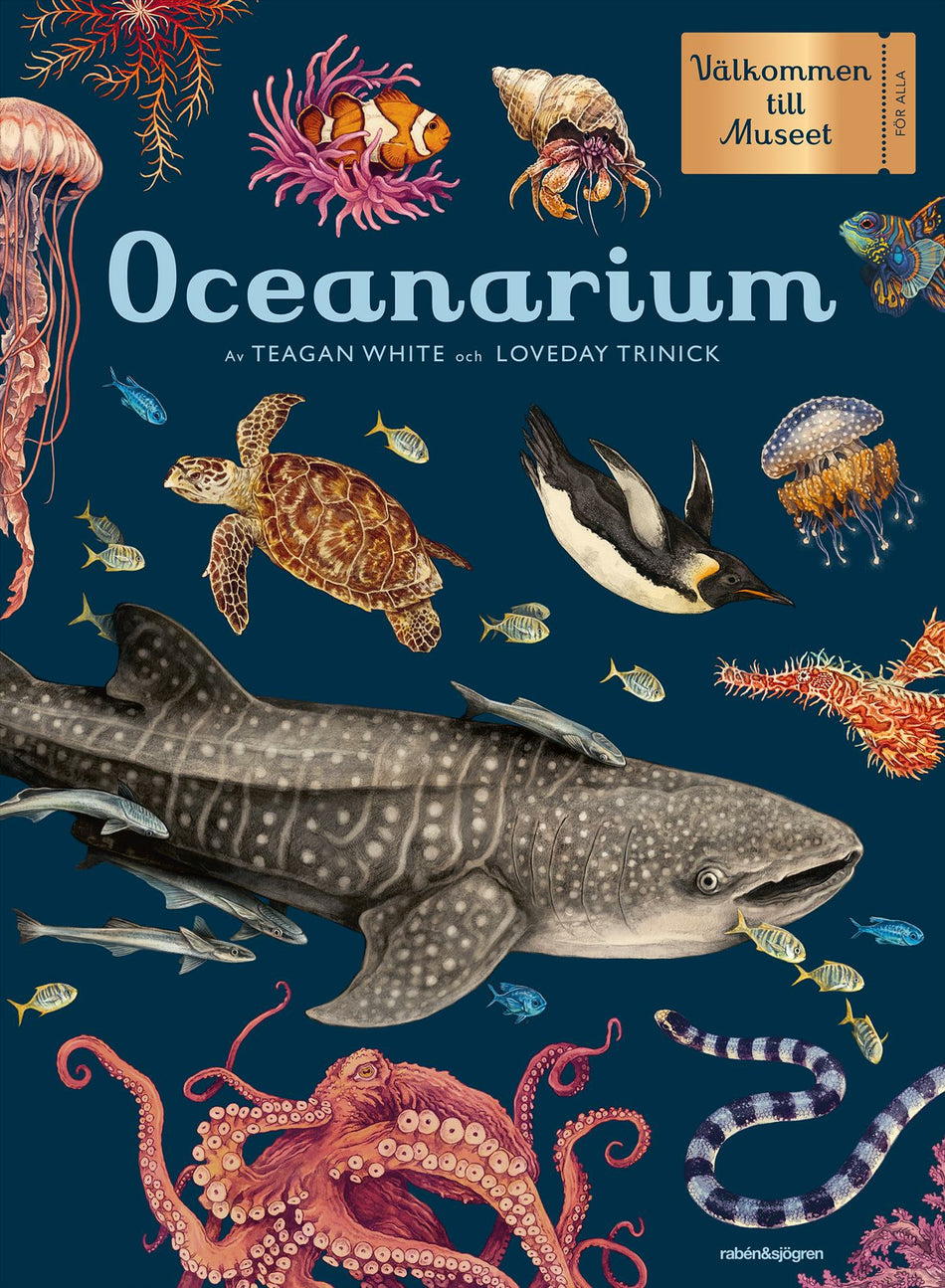 Valokuva kirjasta Loveday Trinick Oceanarium, kuuluu tuoteryhmään Ruots lapset nuoret ja sarjakuvat.