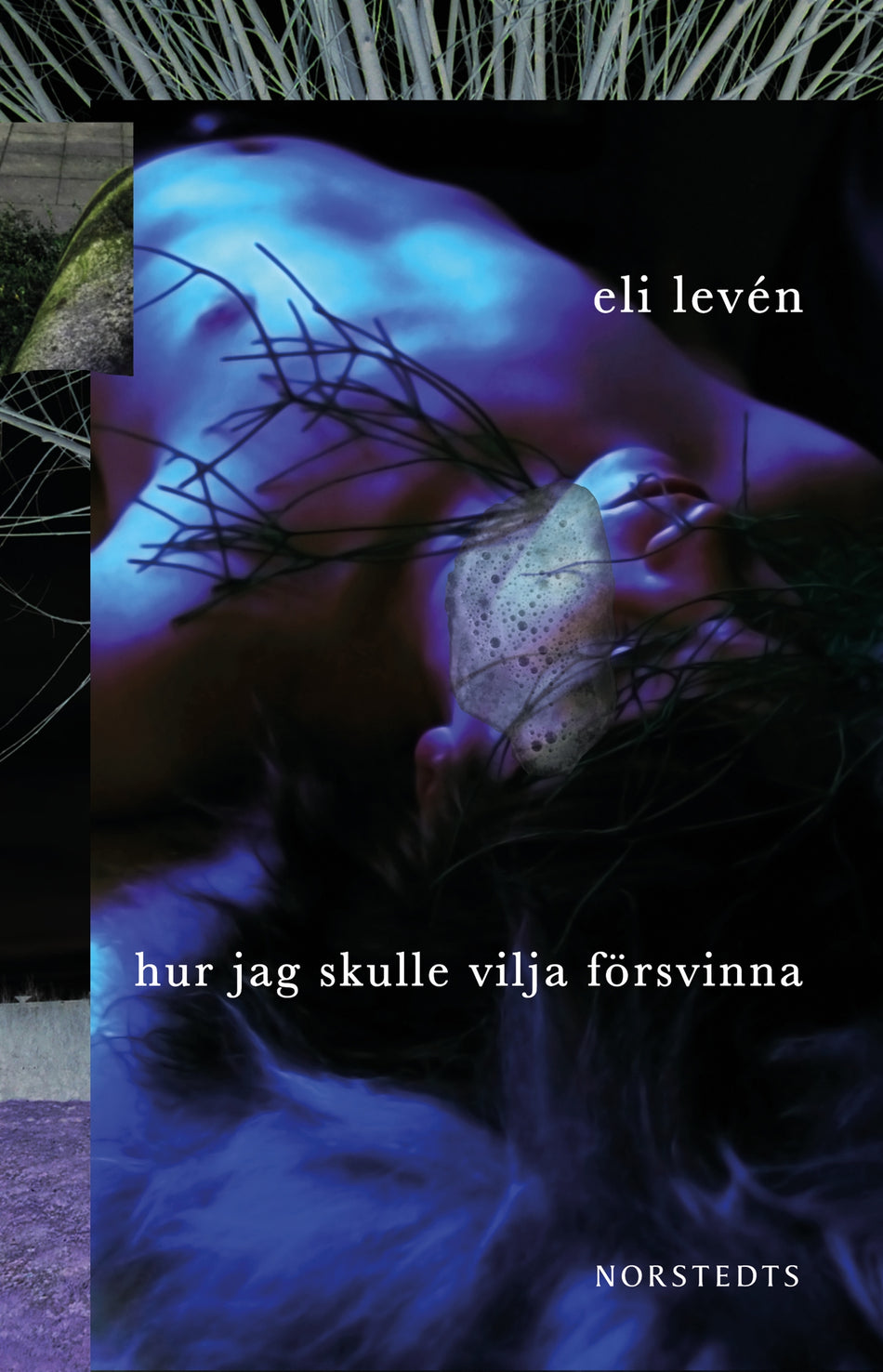 Valokuva kirjasta Eli Levén Hur jag skulle vilja försvinna, kuuluu tuoteryhmään Ruots kaunokirjat.