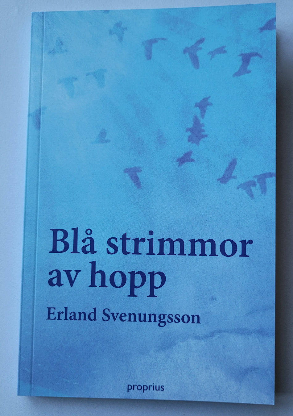 Valokuva kirjasta Erland Svenungsson Blå strimmor av hopp, kuuluu tuoteryhmään Ruots muu tieto.