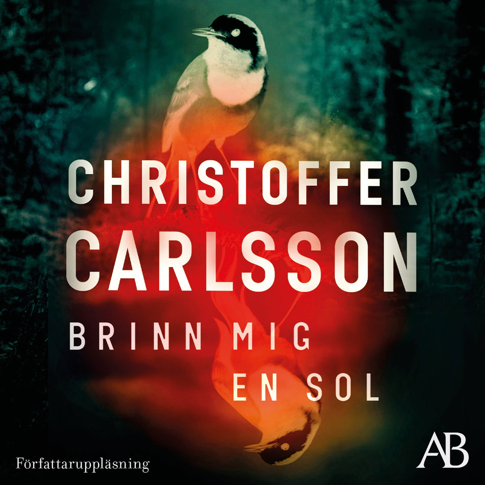 Valokuva kirjasta Christoffer Carlsson Brinn mig en sol, kuuluu tuoteryhmään Ruots kaunokirjat.