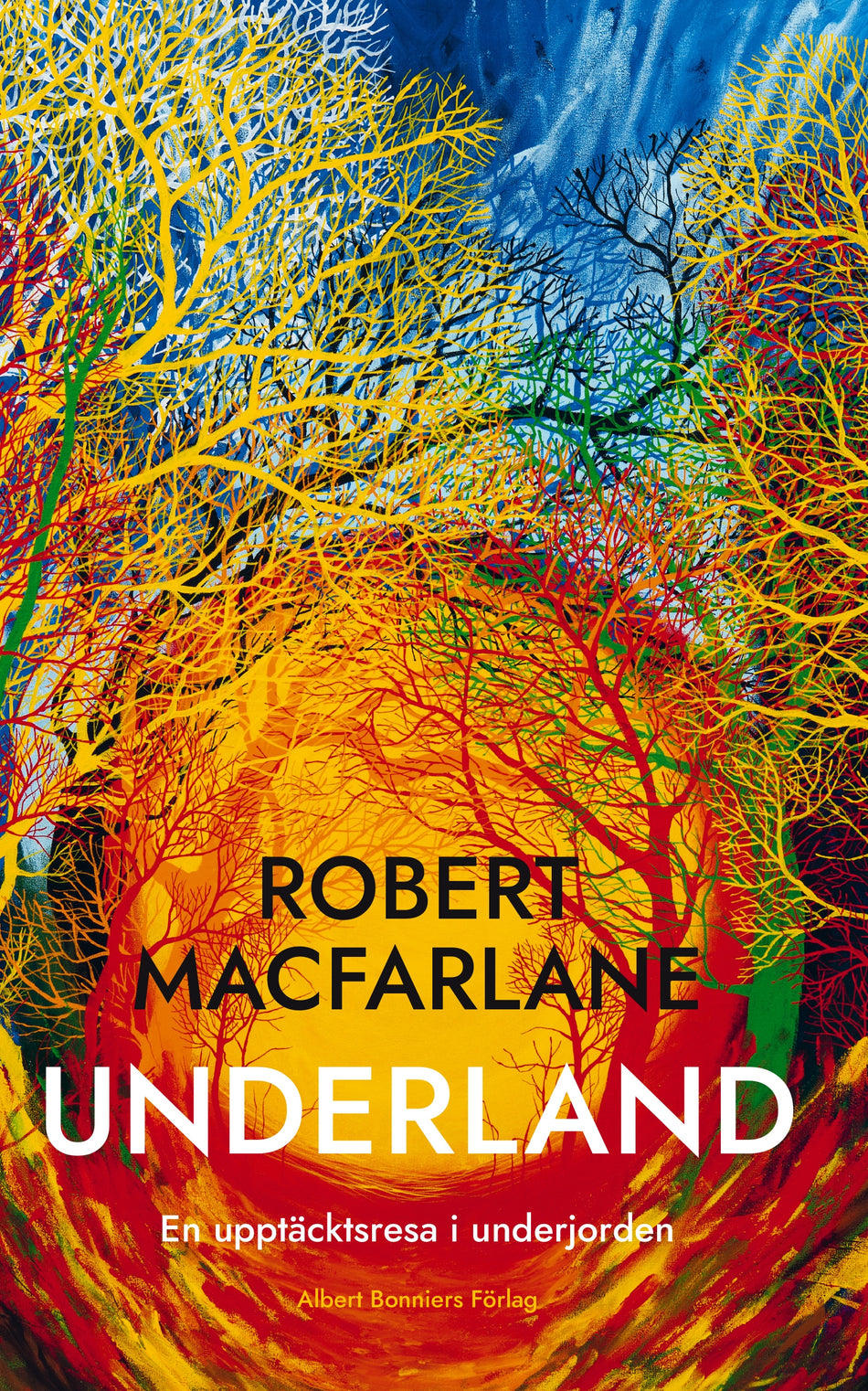 Valokuva kirjasta Robert Macfarlane Underland : en upptäcktsresa i underjorden, kuuluu tuoteryhmään Ruots harrasteet taide.