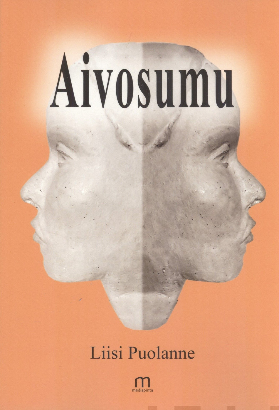 Valokuva kirjasta Puolanne Liisi / Liisi Puolanne Aivosumu, kuuluu tuoteryhmään Muut kaunokirjat.